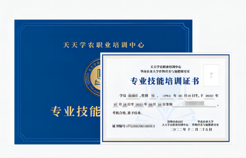 今年会专业技能培训证书
