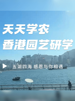 与香港园艺学会联合举办香港园艺研学，专业园境师带队讲解。